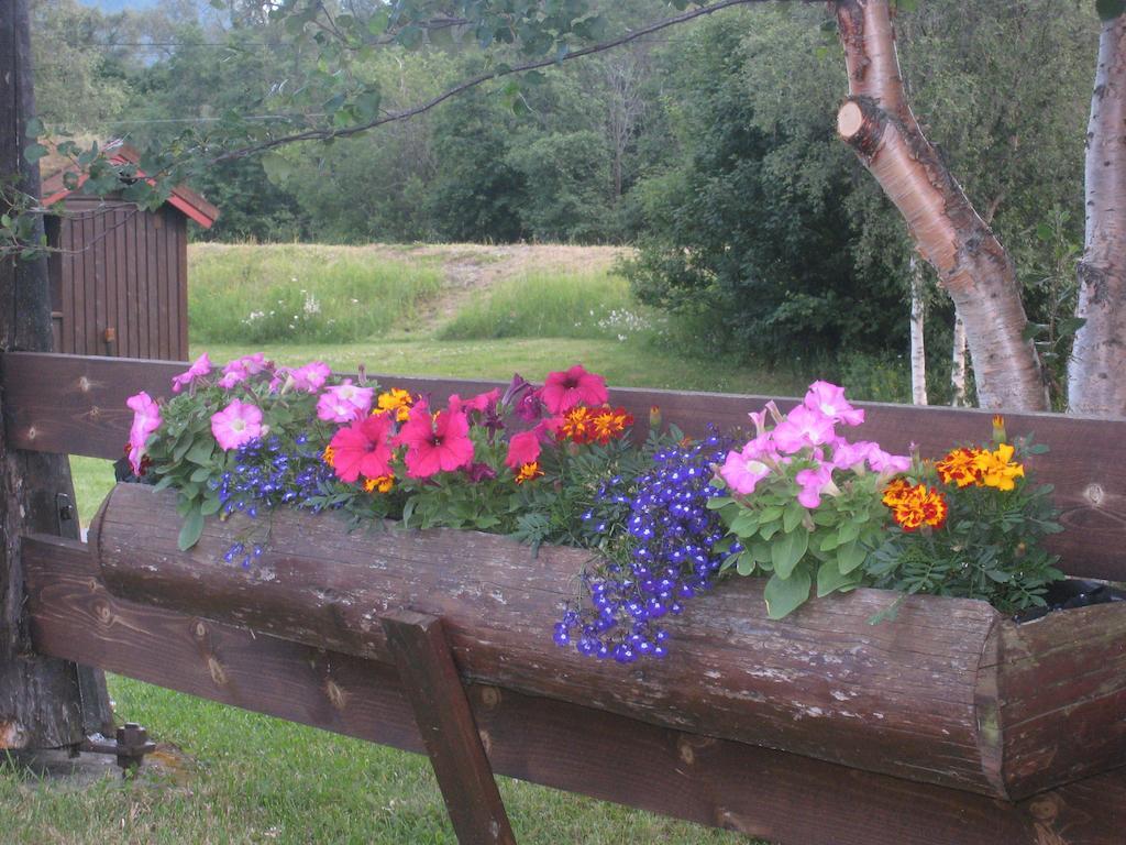 Hotel Smegarden Camping Oppdal Pokój zdjęcie